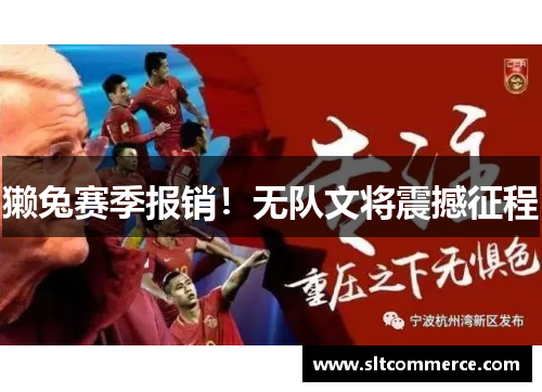 獭兔赛季报销！无队文将震撼征程